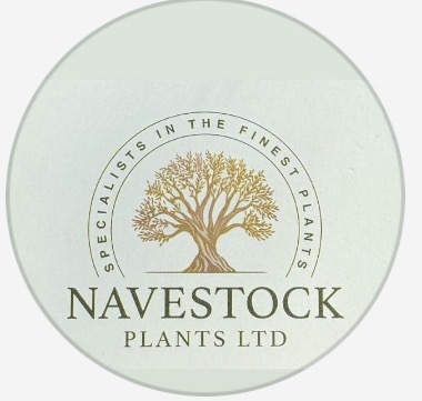 Navestock Plants Ltd