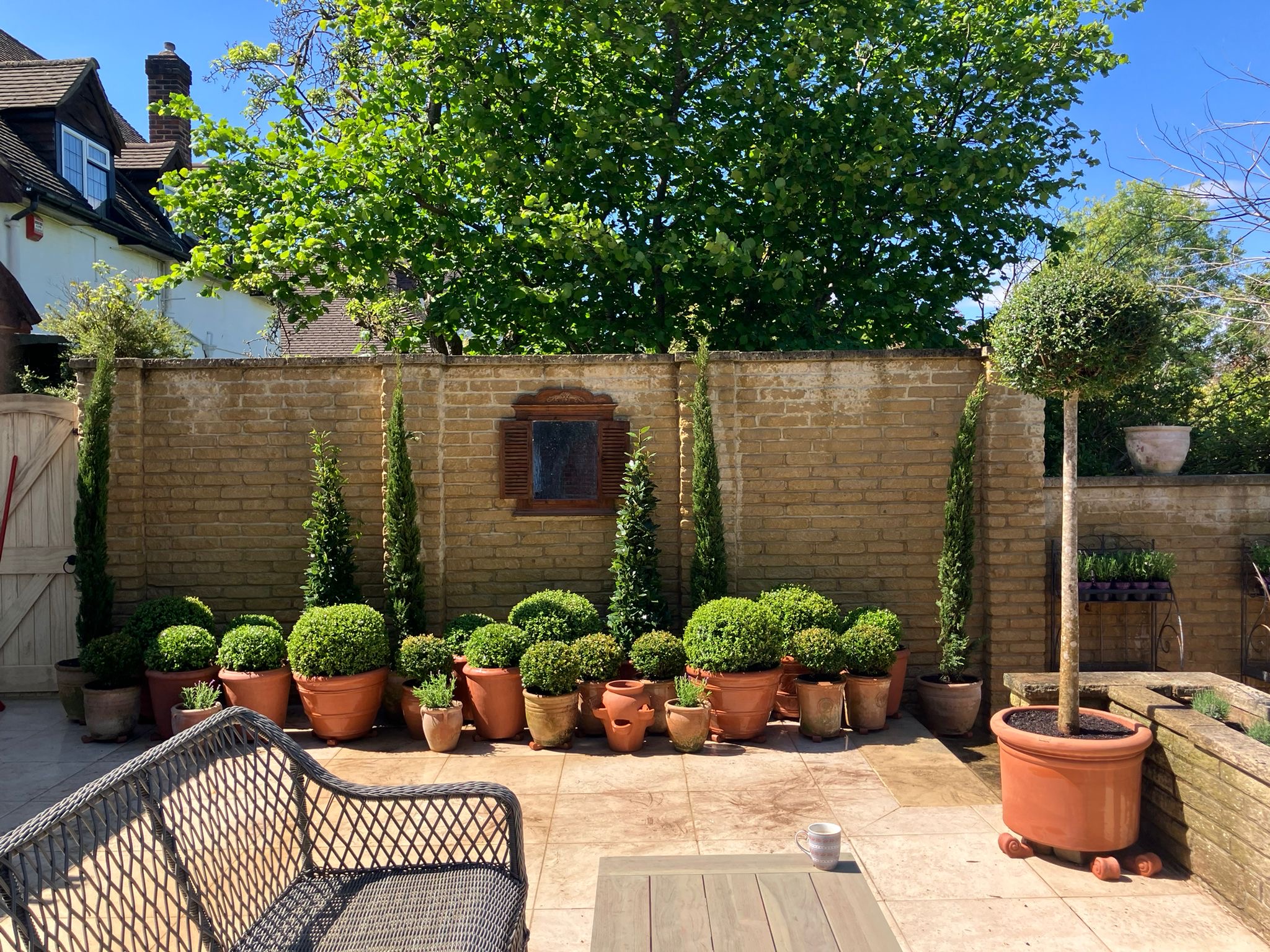 Terracotta balls, cypress and a standard on a patio